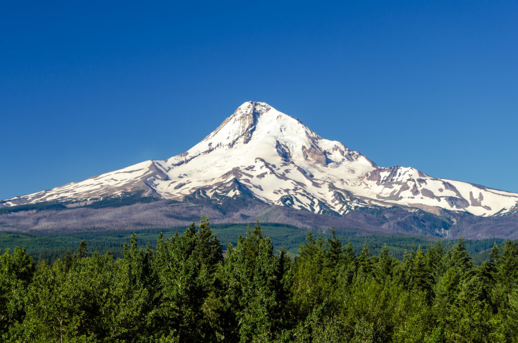 Portland Day Trips Mount Hood