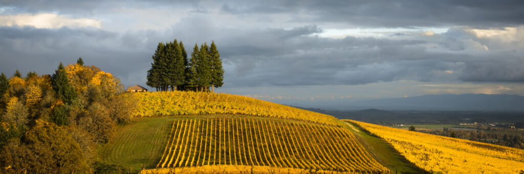 Portland Day Trips Willamette Valley Wine Country